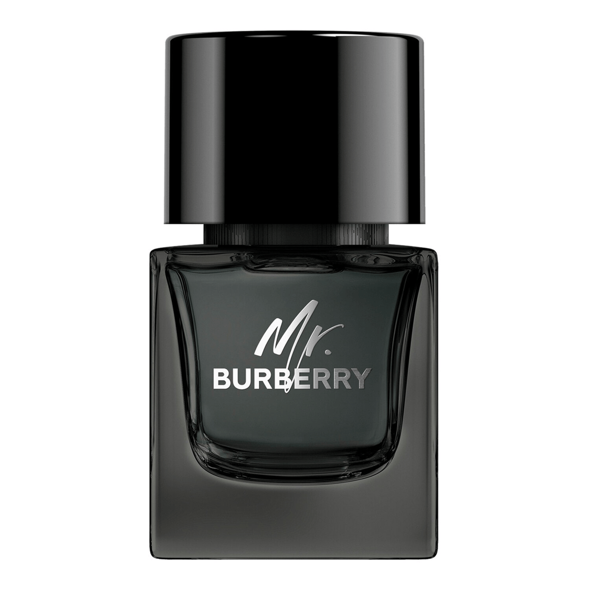 Mr. Burberry de Burberry
